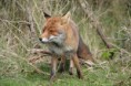 /album/fotogalerij/dsc-0085-jpg/