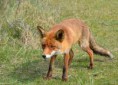 /album/fotogalerij/dsc-0191-jpg/