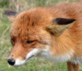 /album/fotogalerij/dsc-0213-jpg/