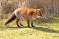 /album/fotogalerij/dsc-0104-jpg/