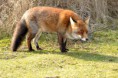 /album/fotogalerij/dsc-0183-jpg/