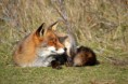 /album/fotogalerij/dsc-0205-jpg/