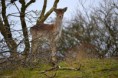 /album/fotogalerij/a10155366-1479626778915794-569401005-n-jpg/
